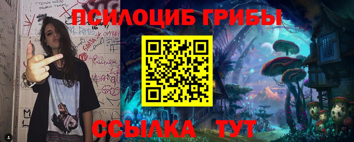 Всеволожск  Псилоцибиновые грибы Psilocybine cubensis  Вход с VPN 